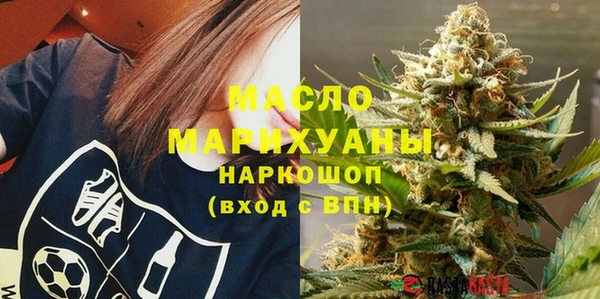 молекула духа Снежногорск