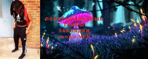 молекула духа Снежногорск